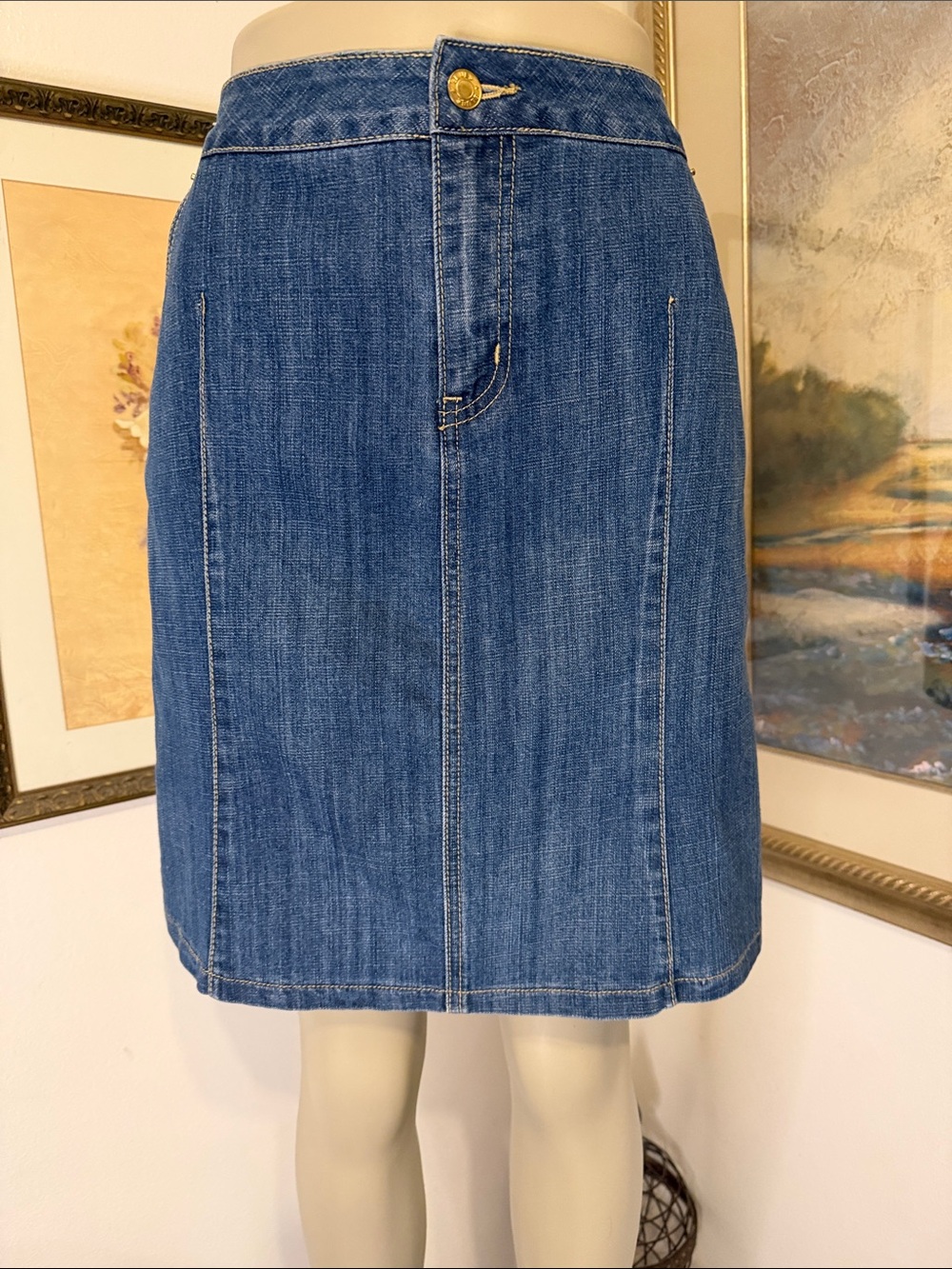 L.A. Blues Skirt - Women's Blue Denim A-Line Skirt Size 22W
